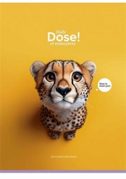 Füzet, tűzött, A4, vonalas, 80 lap, SHKOLYARYK "Daily Dose", vegyes